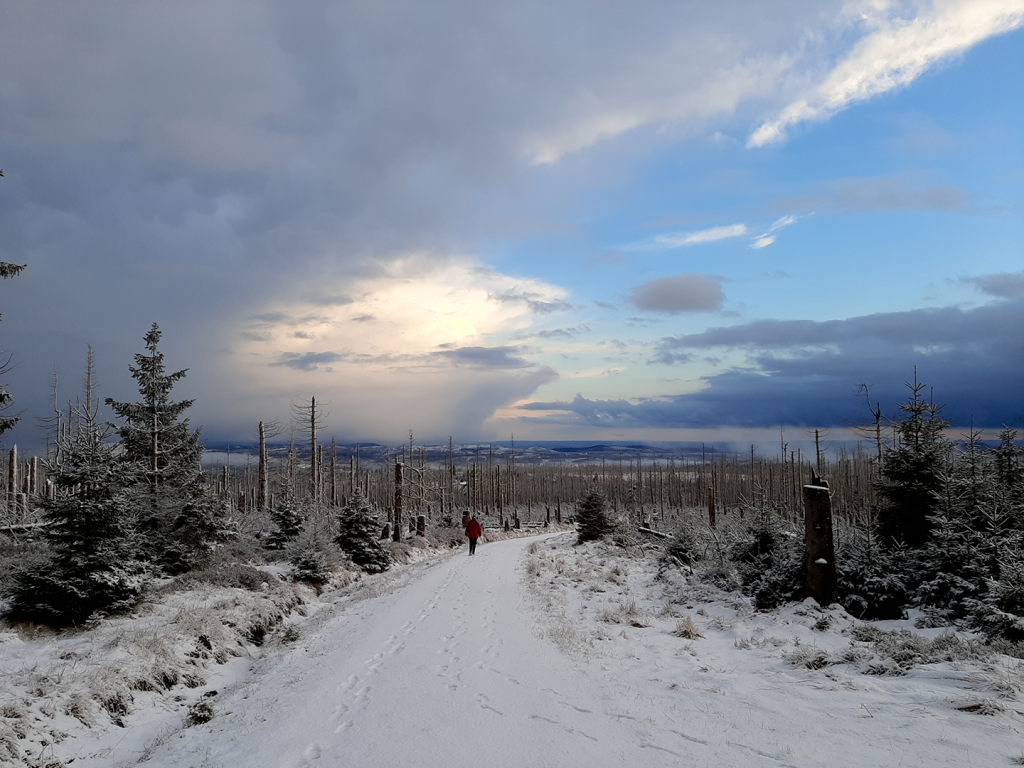 Blick vom Achtermann Richtung Braunlage