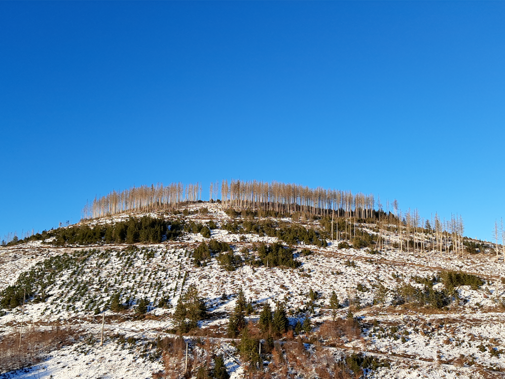 Blick Richtung Eichenberg von der Okertalsperre Richtung Goslar